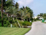 12-No realizar venta de terrenos en el centro de la Florida